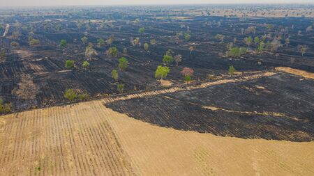 Aerial view over burning rice field after harvestingの写真素材