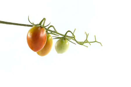 bunch of 3 tomatoes on a white backgroundの写真素材