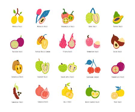 Fruits, berries cartoon illustrations set. Sliced tropical delicacy drawings pack. Exotic juicy food hand drawn cliparts. Chopped healthy summer meal. Fruit salad ingredients with namesのイラスト素材
