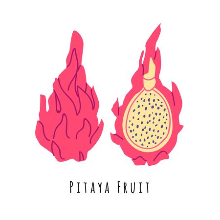 Pitaya fruit flat vector illustration. Cartoon slices of exotic, tropical fresh fruit. Clipart with typography. Isolated icon for healthy cooking menu,  design elementのイラスト素材