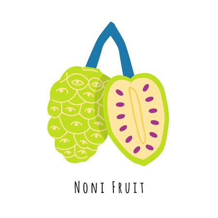 Noni fruit flat vector illustration. Cartoon slices of exotic, tropical fresh fruit. Clipart with typography. Isolated icon for healthy cooking menu, design elementのイラスト素材