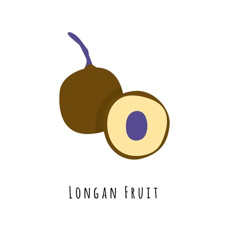 Longan fruit flat vector illustration. Cartoon slices of exotic, tropical fresh fruit. Clipart with typography. Isolated icon for healthy cooking menu, design elementのイラスト素材