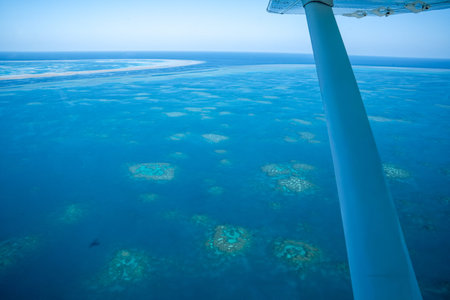 Great barrier reef coral from airplane wing viewpoint