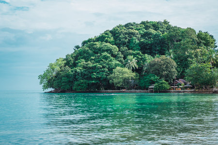 Tropical island coastline with turquoise water and lush green jungle