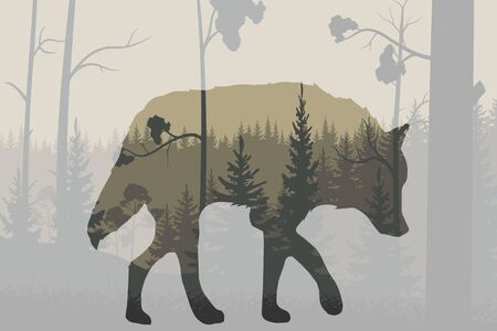 Silhouette of the wolf. Inside it is a night forest Vector illustration.のイラスト素材