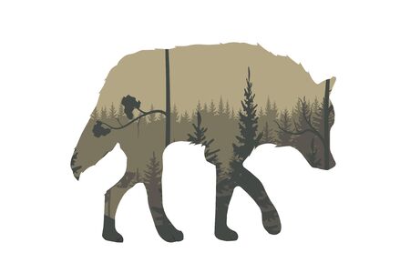 Nature landscape with a wild wolf. Vector illustration.のイラスト素材
