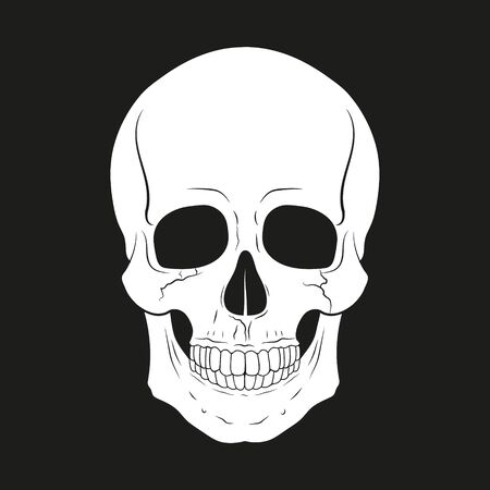 Black and white human skull with a lower jaw on black background.のイラスト素材