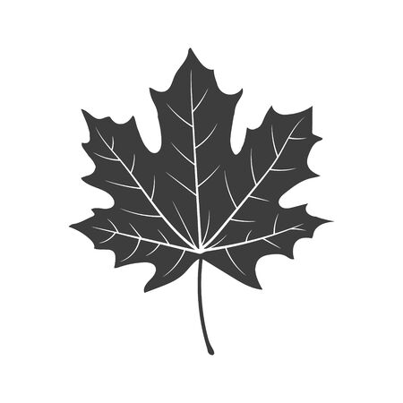 Maple leaf silhouette. Vector illustration.のイラスト素材