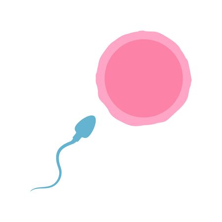 Vector illustration of sperm and egg on white background. Isolated.のイラスト素材