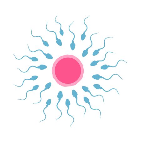 Spermatozoa and egg illustration. Vector.のイラスト素材