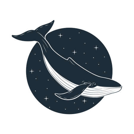 Blue whale swimming in space. Vector illustration.のイラスト素材