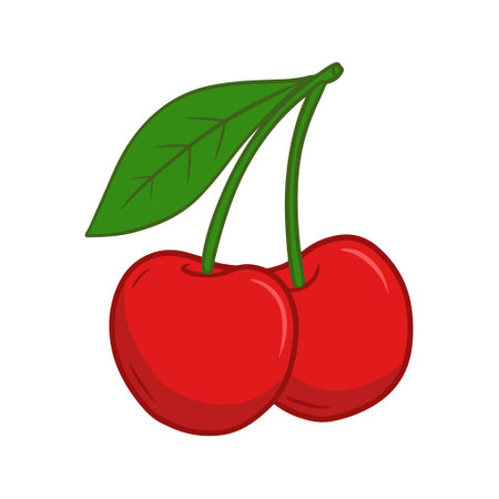 Illustration of ripe cherry in bright colors.