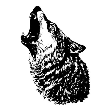 Vector iIllustration of howling wolf in engraved style.