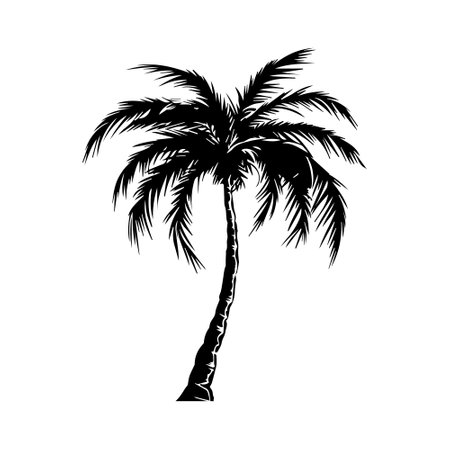Vector iIllustration of palm tree in engraved style.のイラスト素材