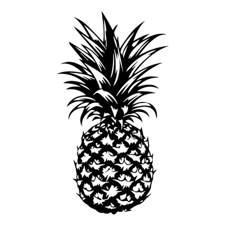 Illustration of pineapple in black and white style.のイラスト素材