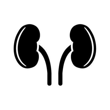 Two kidneys icon in flat style.のイラスト素材