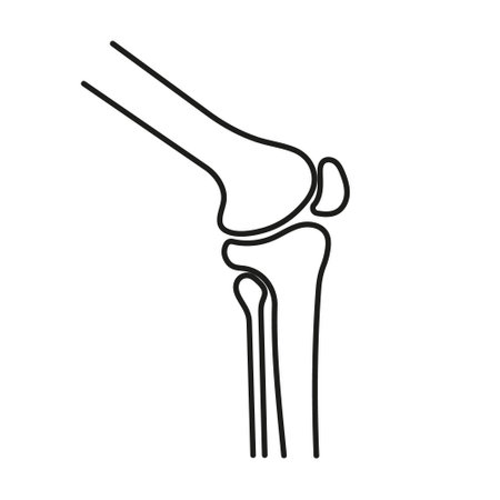 Knee joint icon in linear style. Vector.
