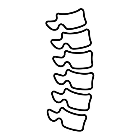 Spine bones icon in linear style.のイラスト素材