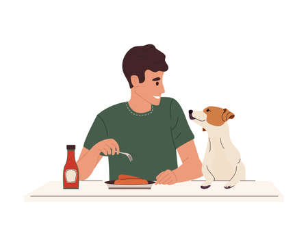Happy person pet owner sitting at table with dog, eating food. Pet asks for a sausage from man. Unhealthy habit of animal. Color flat vector illustration isolated on white backgroundのイラスト素材