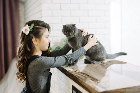 A cute little girl spends her time with her sweet cat. Gray cat and cute girlの写真素材