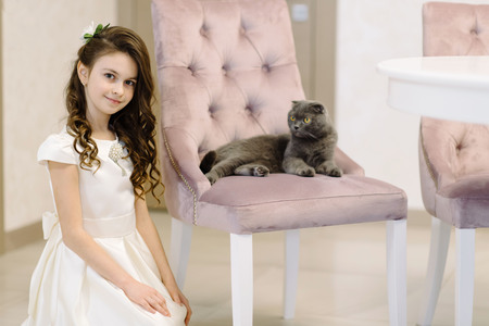 A cute little girl spends her time with her sweet cat. Gray cat and cute girlの写真素材