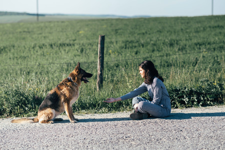 Cute girl playing with her dog against the background of the field.の写真素材