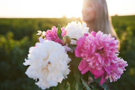 Cute young blonde girl spends time in a picturesque field with a bunch of pions in her hands.の写真素材