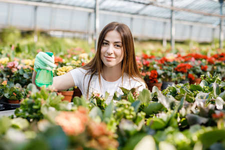 Young woman florist spraying water on houseplants in flower pots by sprayer.の写真素材