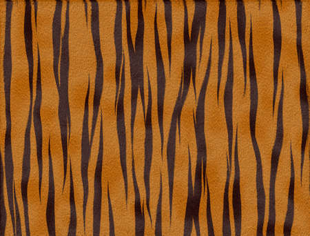 tiger skin backgroundの写真素材
