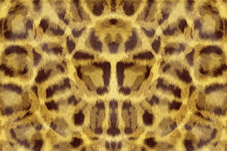 Spotted background wildlifeの写真素材