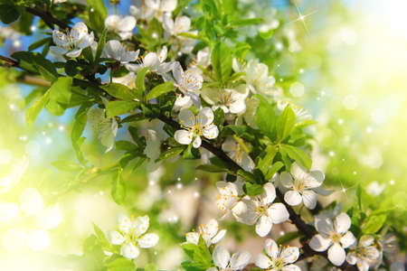bright summer background