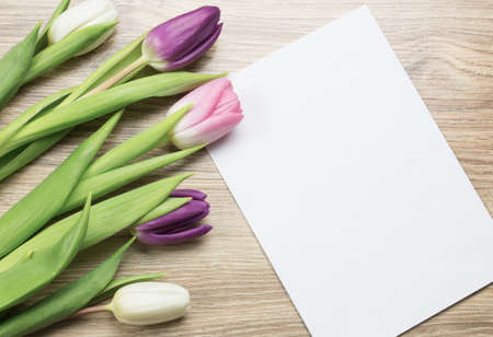 holiday greeting with tulips bouquetの写真素材