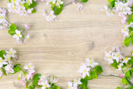 apple flowers on wooden background, spring blossomの写真素材