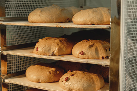 Freshly baked artisan loaves cooling on wooden racks in a warm and inviting bakery during a sunny...