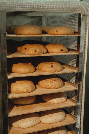 Freshly baked artisan loaves rise in a bakery, showcasing the craftsmanship of traditional bread...