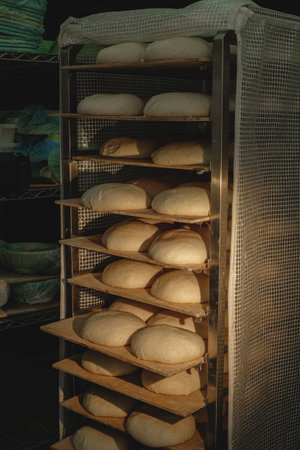 Artisan bread loaves resting on a rack in a warm bakery during early morning hours, embodying the craft of baking and the anticipation of fresh breadの写真素材