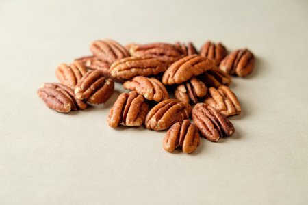 Freshly harvested pecan nuts spread artfully on a smooth surfaceの写真素材
