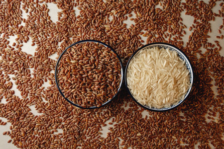 Organic brown rice showcases its earthy tones beside polished white riceの写真素材