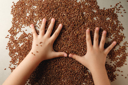 Organic brown rice spread across a table with hands interacting gentlyの写真素材