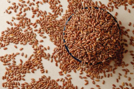 Organic brown rice heaped in a bowl with scattered grains around itの写真素材