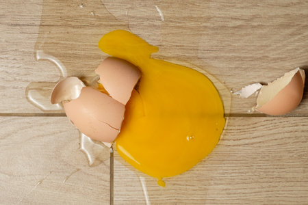 Egg yolk spills across the kitchen floor creating a messy scene at homeの写真素材