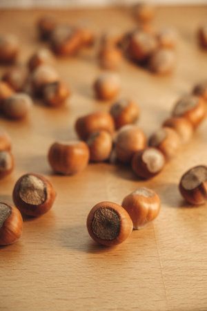 Discovering the beauty and texture of roasted hazelnuts in a cozy kitchenの写真素材