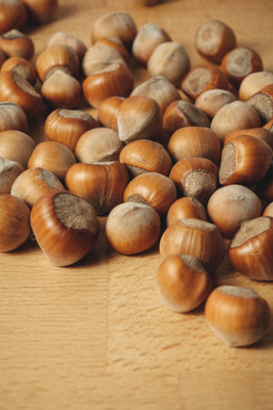Harvesting hazelnuts from the orchard in autumn, a season of abundanceの写真素材