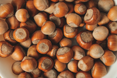 Harvested hazelnuts piled in a bowl creating an earthy natural displayの写真素材