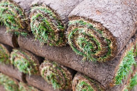 Sod Grass Rolled in a Stackの写真素材