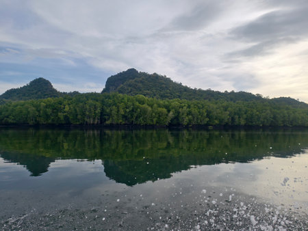 Twin forested hills mirrored in calm water; photo taken from moving boat.の写真素材
