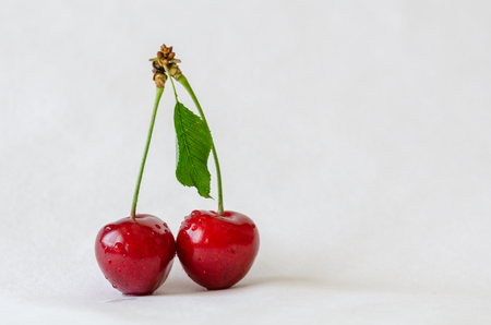 Freshness Cherries Isolated. Cherries on white background.の写真素材