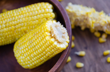 Cooked corncobs on a dark wooden plate.There are eaten corn cobs and corn grains by the plate.