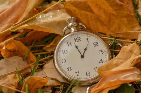 Pocket watch is on autumn leavesの写真素材