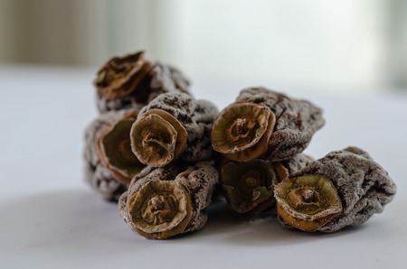 Dried persimmon on white background in the kitchen,close up.の写真素材